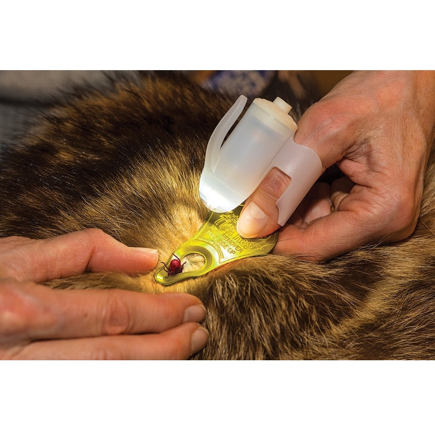Tick See Tick Removal Kit - Naa Gear